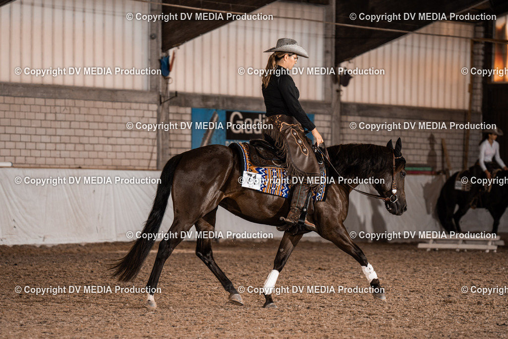 ZH300223 | dv-media-shop - Realisiert mit Pictrs.com