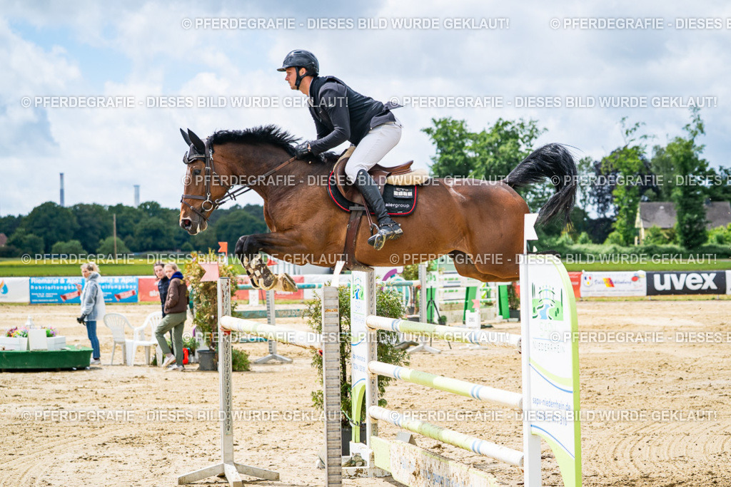 DSC04738 | Pferdegrafie