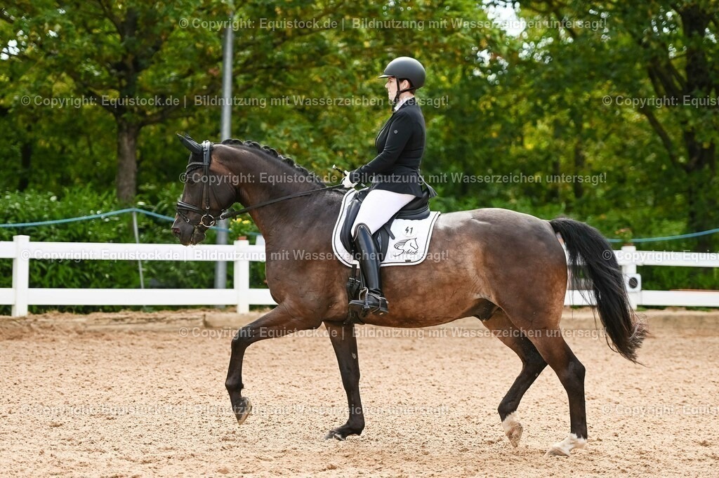 20230715_07_Dressurpferdeprfg. Kl.L_0118 | equistock