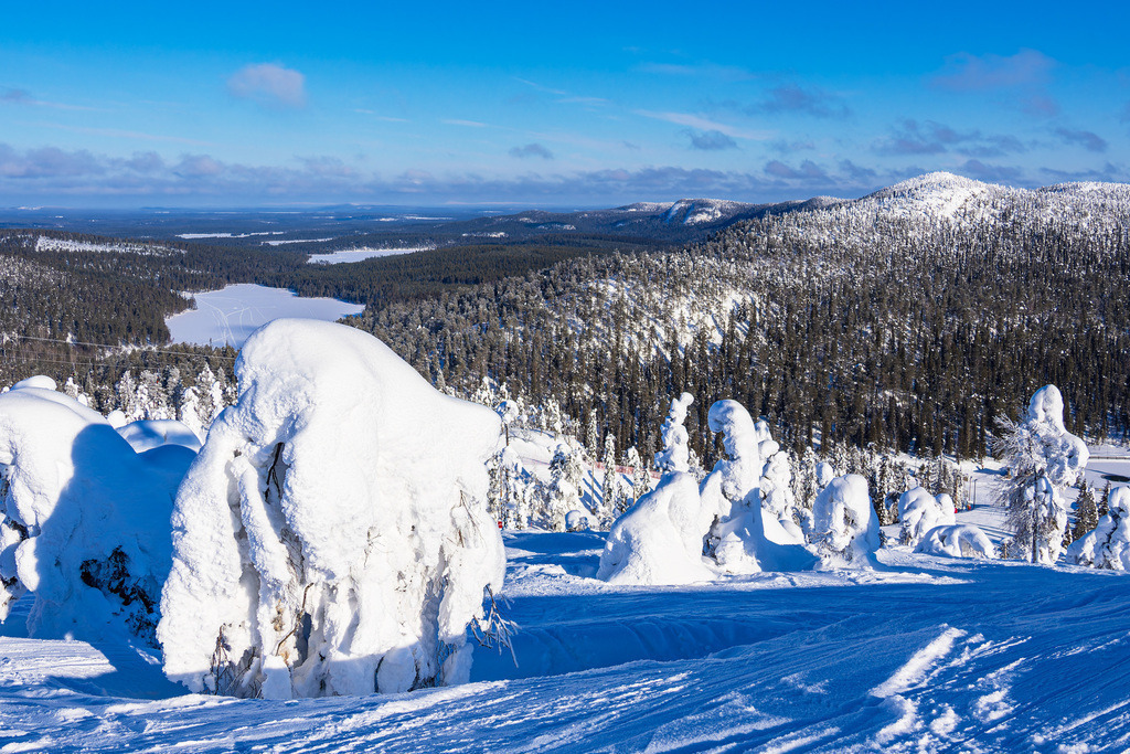 Landschaft mit Schnee und Bäumen im Winter in Ruka, Finnland | Landschaft mit Schnee und Bäumen im Winter in Ruka, Finnland.