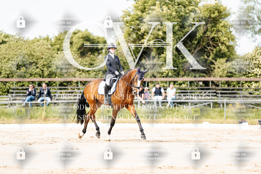 CK900673 | Turnierfotografie Pferdefotografie Trier Rheinland-Pfalz Pferdesport Reitsport Tierfotografie Sportfotografie Pferdevideo Pferdevideografie Equestrianvideography equestrianphotography  - Realisiert mit Pictrs.com