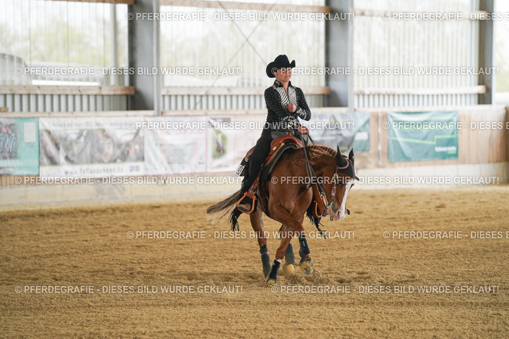 DSC07184 | Pferdegrafie