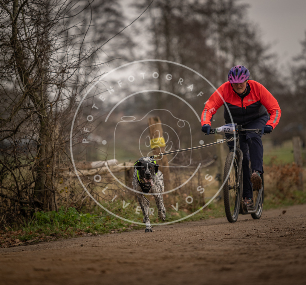 Pfotenfotografie_DV3A3979 | Hundefotografie, Tierfotograf, Pfotenfotografie, Fotoshooting Hund, Hunde Portrait, Hundesport, Hundeportraits, Heideshooting, Hunde, Sportfotograf, Hundefotograf, Turnierhundsport, THS,  - Realisiert mit Pictrs.com