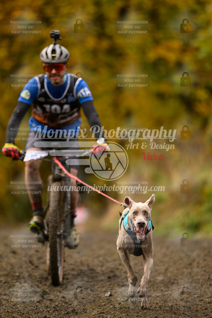 MompixPhotography_ICF_WC_2024_SA_Bike_-76 | PayLife