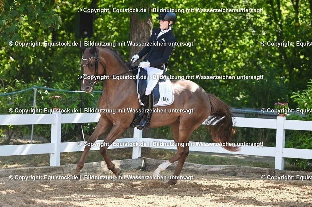 20230715_06_Dressurpferdeprfg. Kl.A_0442 | equistock