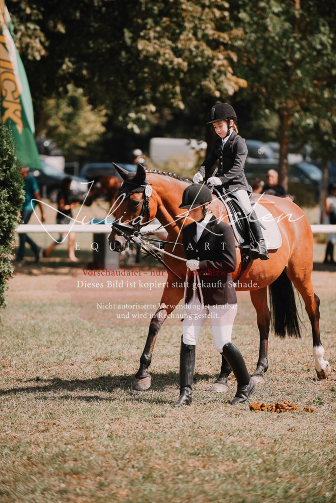 DSC_6086 | Pferde- und Turnierfotografie in Westsachsen. Pferdeportraits, Auftragszeichnungen und intuitive Kunst.