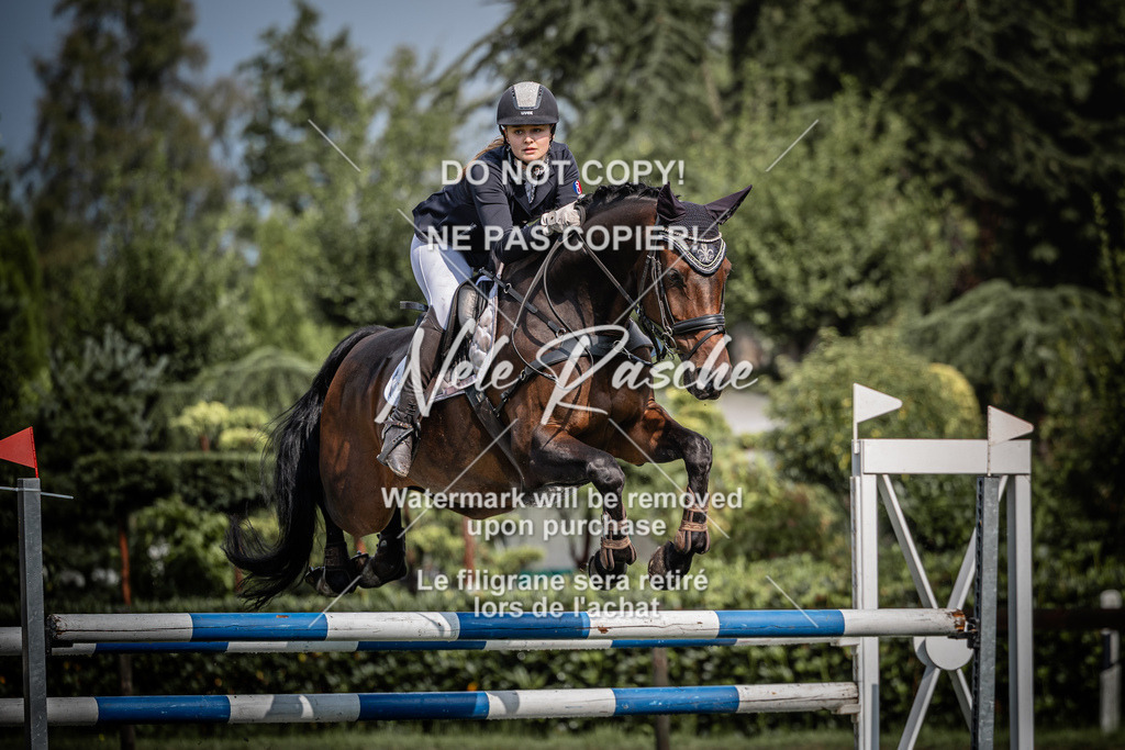 nelerasche_SprL110Ede_65 | nelerasche