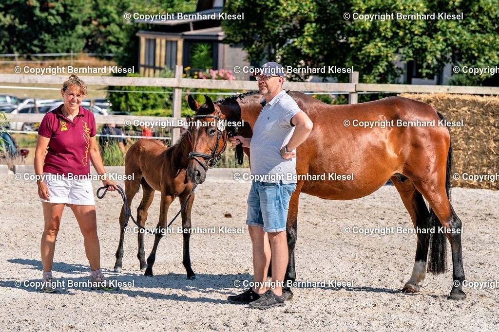 2A906584 | foto-team-bernhard - Realisiert mit Pictrs.com