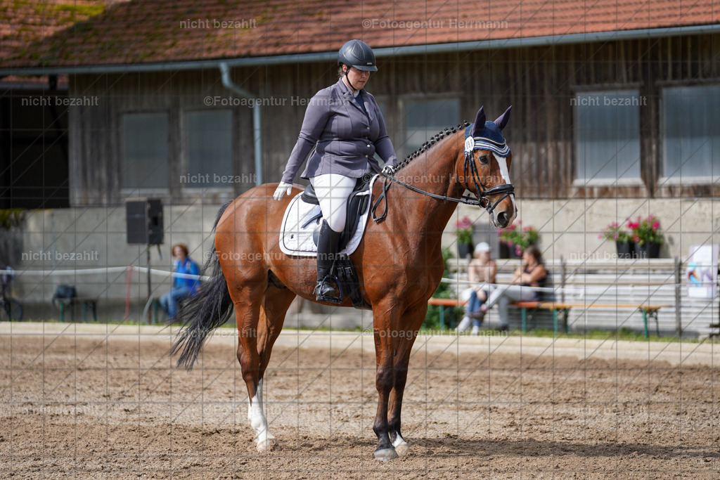 20240519-FAH04780 | Turnierbilder Niederseeon 2024, Vielseitigkeitsdressur, Reitsportbilder aus dem Landkreit Ebersberg, Gut Steinsee, RC Steinsee, Fotoagentur Herrmann