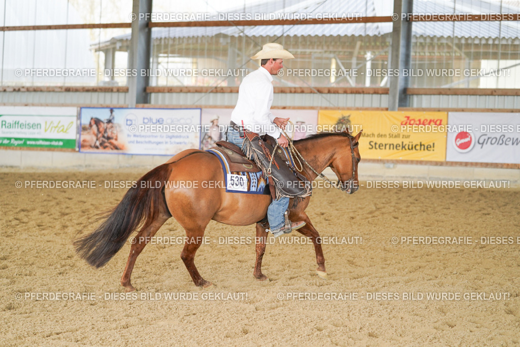 DSC00770 | Pferdegrafie