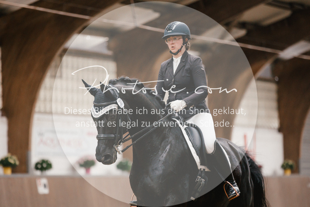 3I6A8362 | Stimmungsvolle Portraits und Reitsportfotografie im Ruhrgebiet und im Münsterland.

Pferdefotografie, Hundefotografie, Tierfotografie, Reportagen, Portraits von Tier und Mensch, Turnierfotografie in Bochum, Recklinghausen, Marl, Haltern am See, Dülmen.. - Realisiert mit Pictrs.com