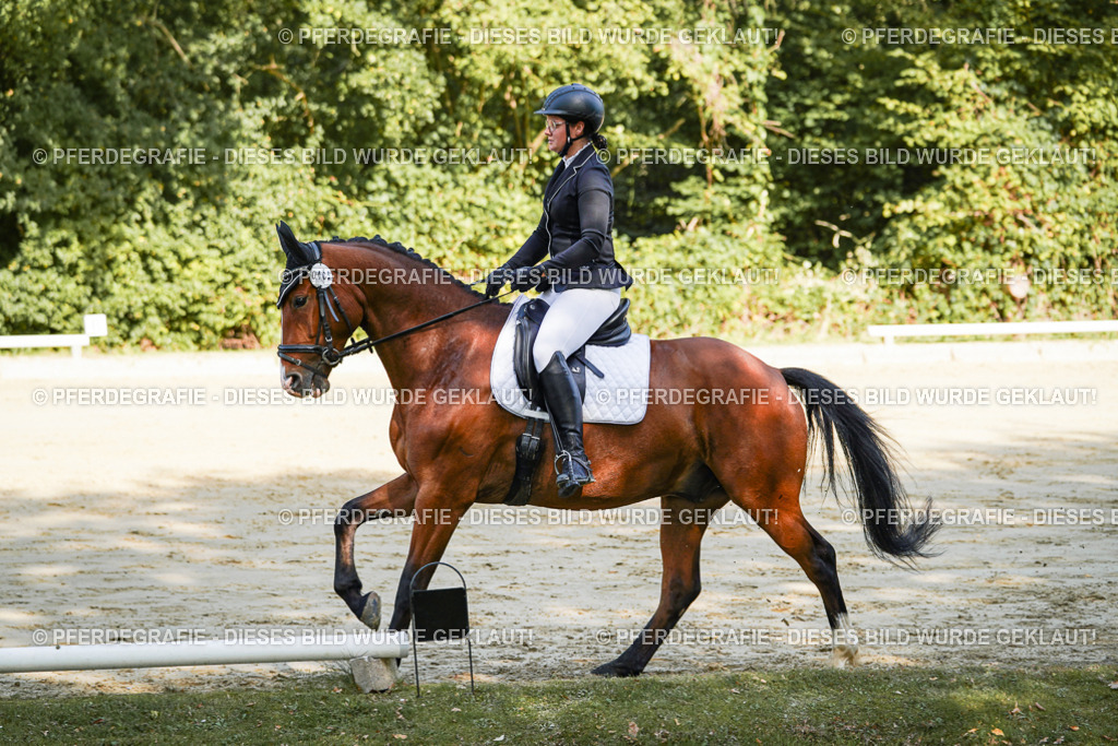 DSC08349 | Pferdegrafie