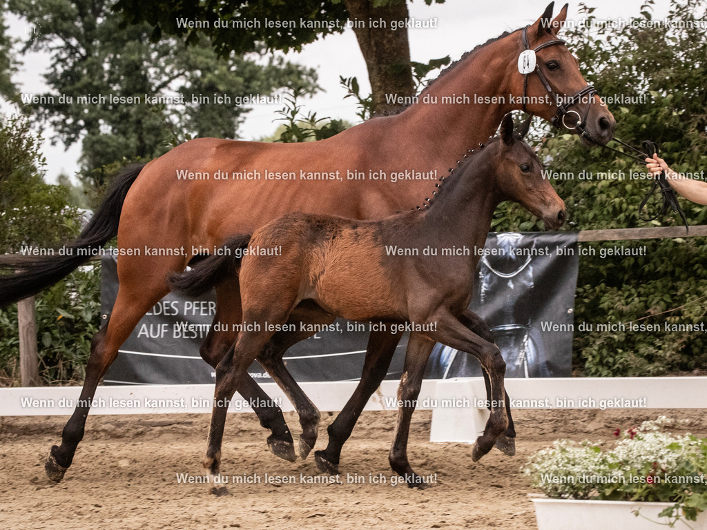 A10I6530 | photographylinaismer - Realisiert mit Pictrs.com