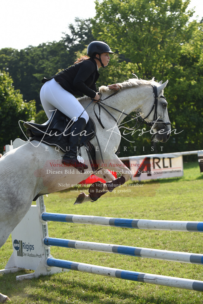 DSC_8907 | Pferde- und Turnierfotografie in Westsachsen. Pferdeportraits, Auftragszeichnungen und intuitive Kunst.