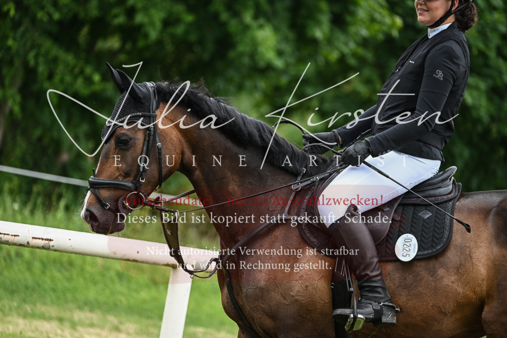 DSC_8443 | Pferde- und Turnierfotografie in Westsachsen. Pferdeportraits, Auftragszeichnungen und intuitive Kunst.