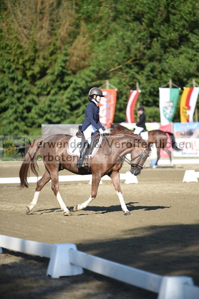 DSC_6795 | equestrian-live-com