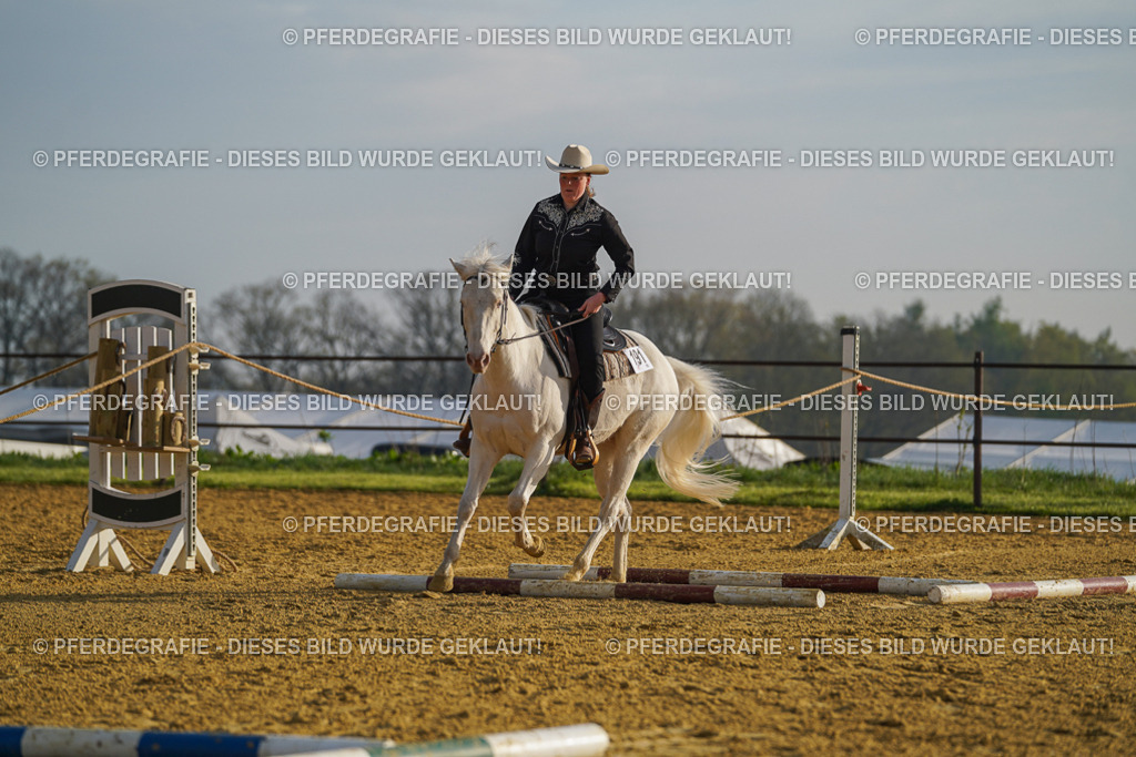 DSC00079 | Pferdegrafie