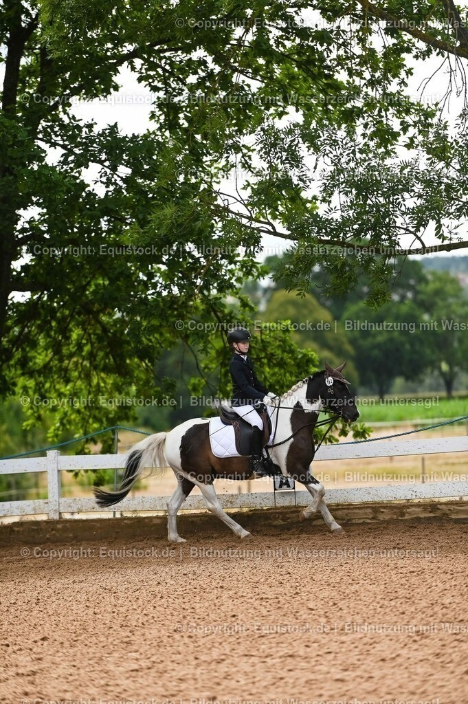 20230716_10-2_Reiter-WB Schritt - Trab - Galopp_0161 | equistock