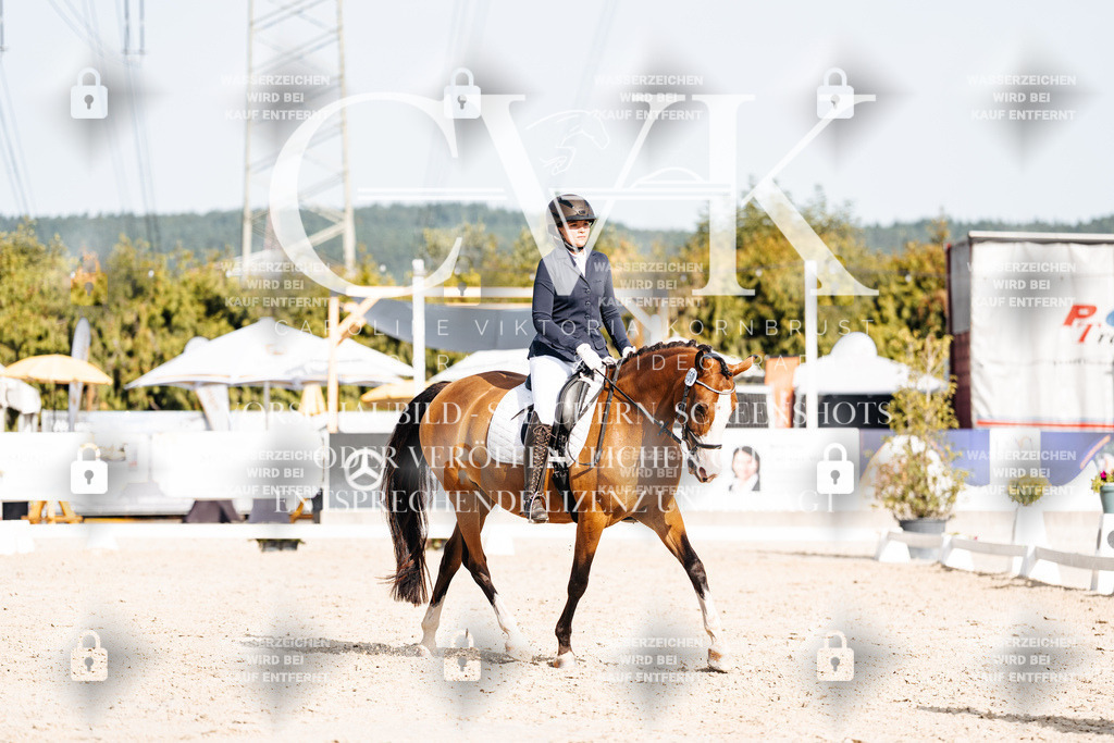 CK905350 | Turnierfotografie Pferdefotografie Trier Rheinland-Pfalz Pferdesport Reitsport Tierfotografie Sportfotografie Pferdevideo Pferdevideografie Equestrianvideography equestrianphotography  - Realisiert mit Pictrs.com