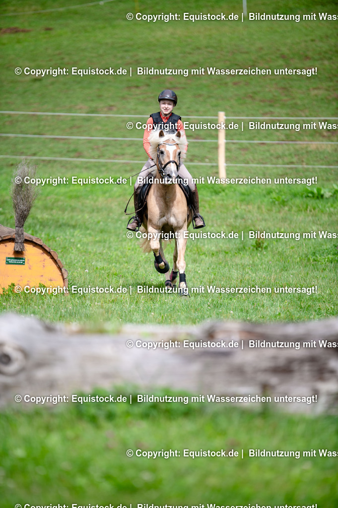 20250725_Vielseitigkeitslehrgang-Marbach_0337 | Foto: Thomas Hartig