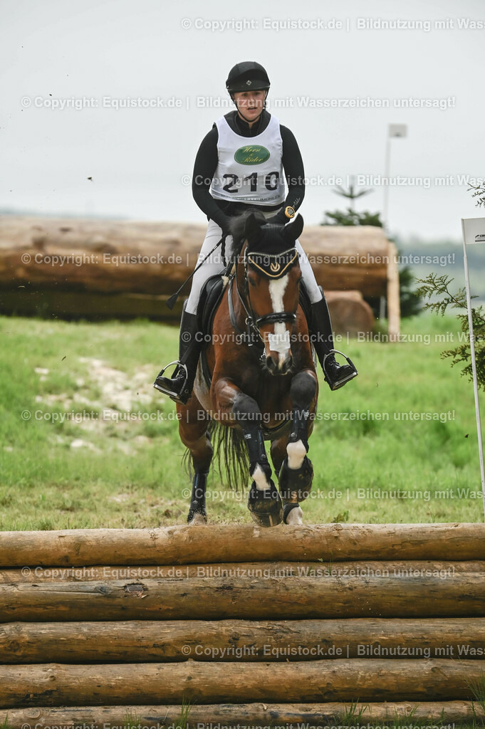 20230513_CCI2_Section2_Gelände_0048 | equistock