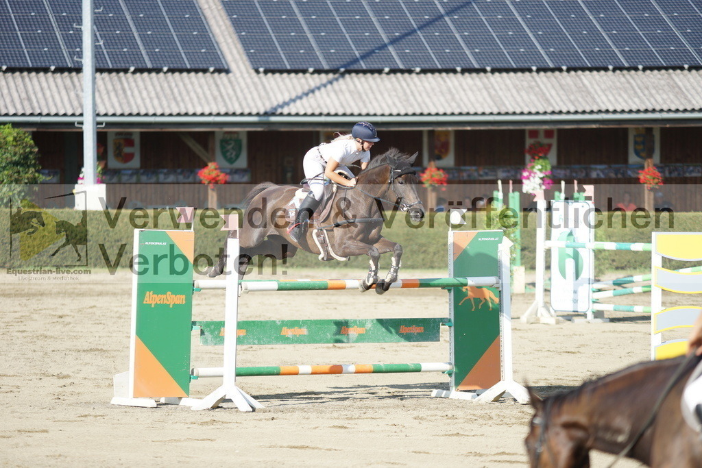 DSC00565 | equestrian-live-com