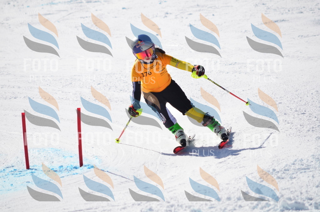 C9618 | holidayphoto