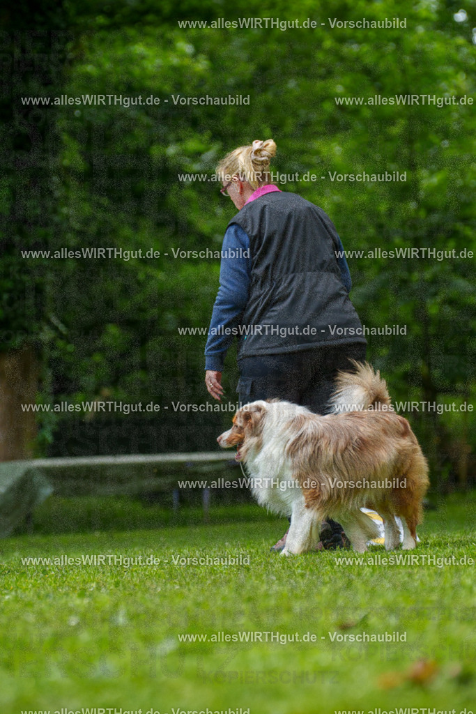 @allesWIRTHgut_Tierfotografie - www.allesWIRTHgut.de - 7R501189 | Professionelle Tierfotografie in Mönchengladbach von Daniel Wirth (allesWIRTHgut). Liebevolle & natürliche Bilder von Hunden & Katzen für unvergessliche Erinnerungen.