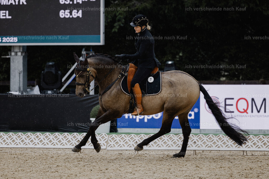 Katja7_FHC2025-24691 | working equitationturnier fotograf videograf stoibphotography marixx film working equitation deutschland reitsport turnierfotografie eventfotografie equestrian events