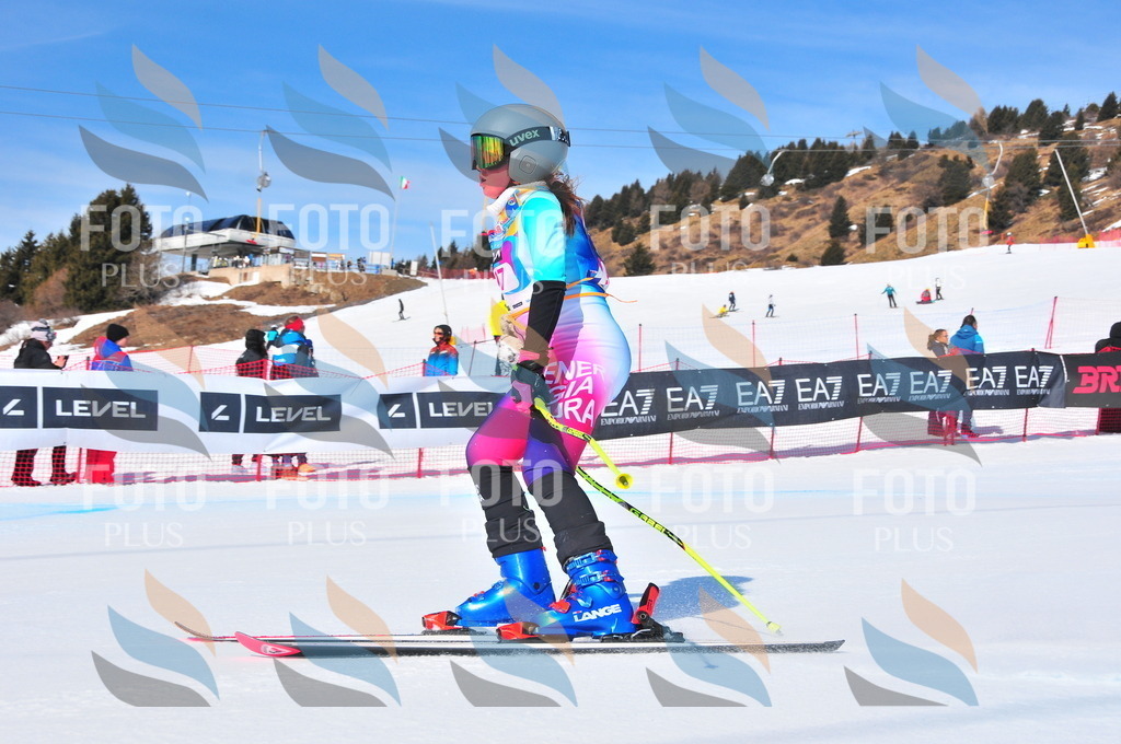 DSC_4571 | holidayphoto