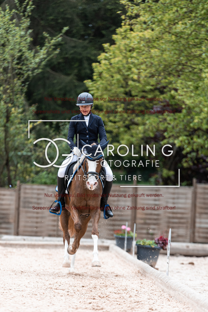 DSC_6766 | Turnierfotografin Carolin Gieschke,Reitsport Turnierfotografie Carolin G Fotografie | Turnierfotos aus Kirchheim/Teck, Esslingen, Stuttgart und dem Bodenseekreis