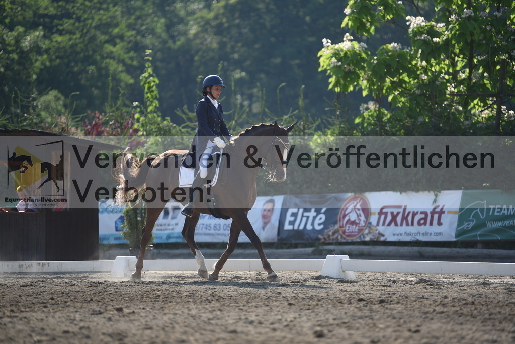 DSC_2990 | equestrian-live-com