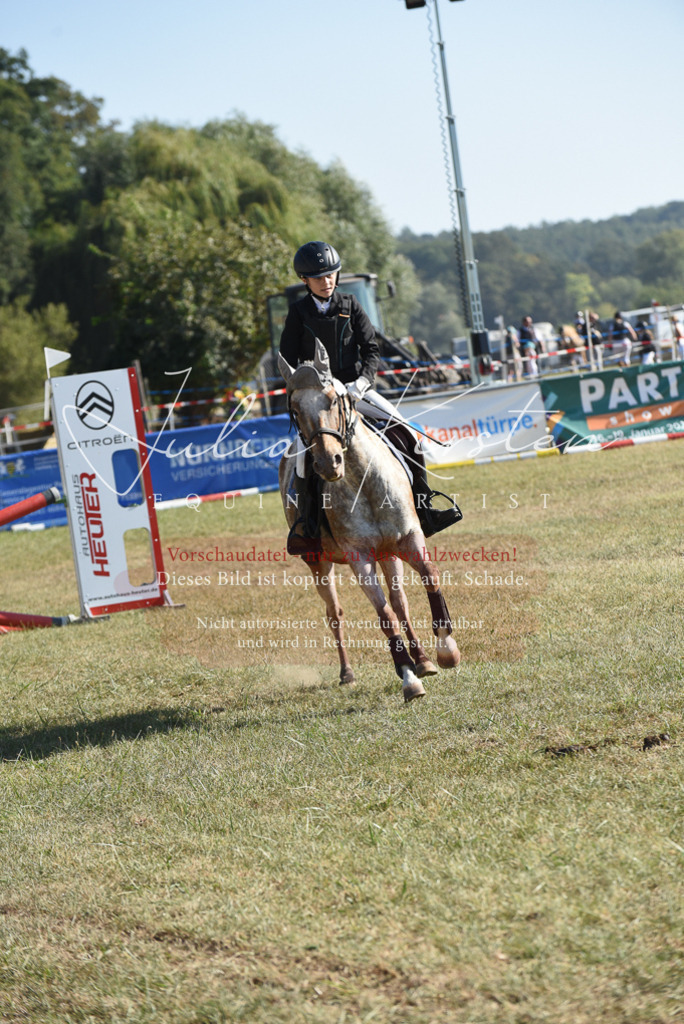 DSC_5901 | Pferde- und Turnierfotografie in Westsachsen. Pferdeportraits, Auftragszeichnungen und intuitive Kunst.
