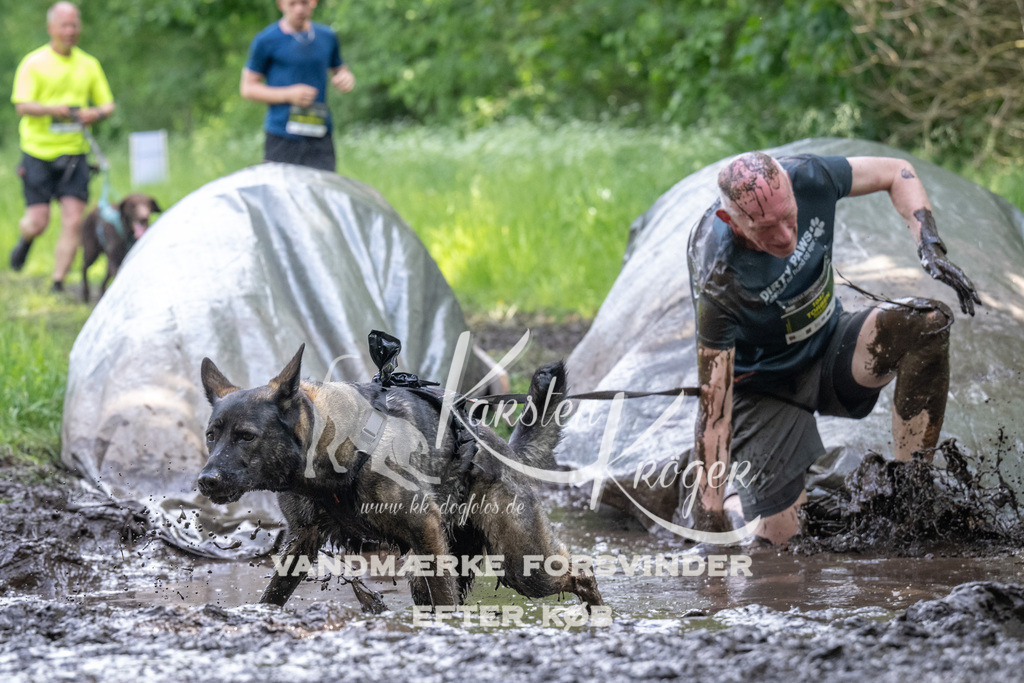 1340_ZZ91791 | kk-dogfotos