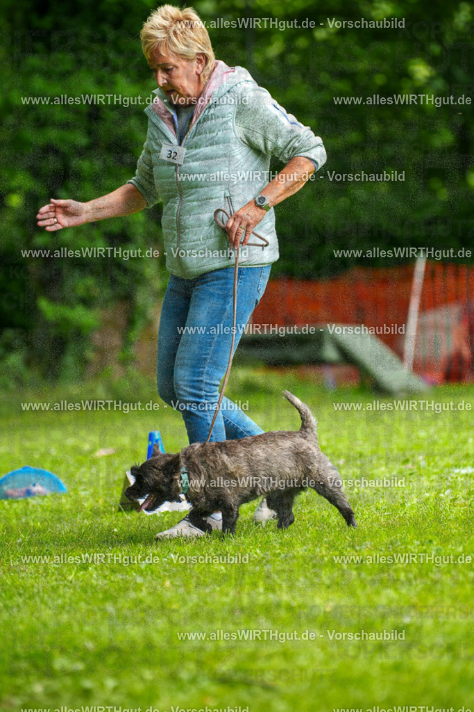 @allesWIRTHgut_Tierfotografie - www.allesWIRTHgut.de - 7R504473 | Professionelle Tierfotografie in Mönchengladbach von Daniel Wirth (allesWIRTHgut). Liebevolle & natürliche Bilder von Hunden & Katzen für unvergessliche Erinnerungen.