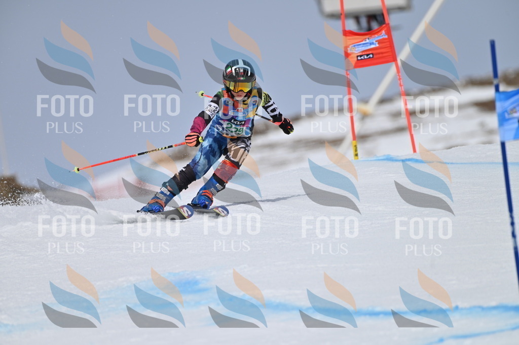 BGV_4522 | holidayphoto