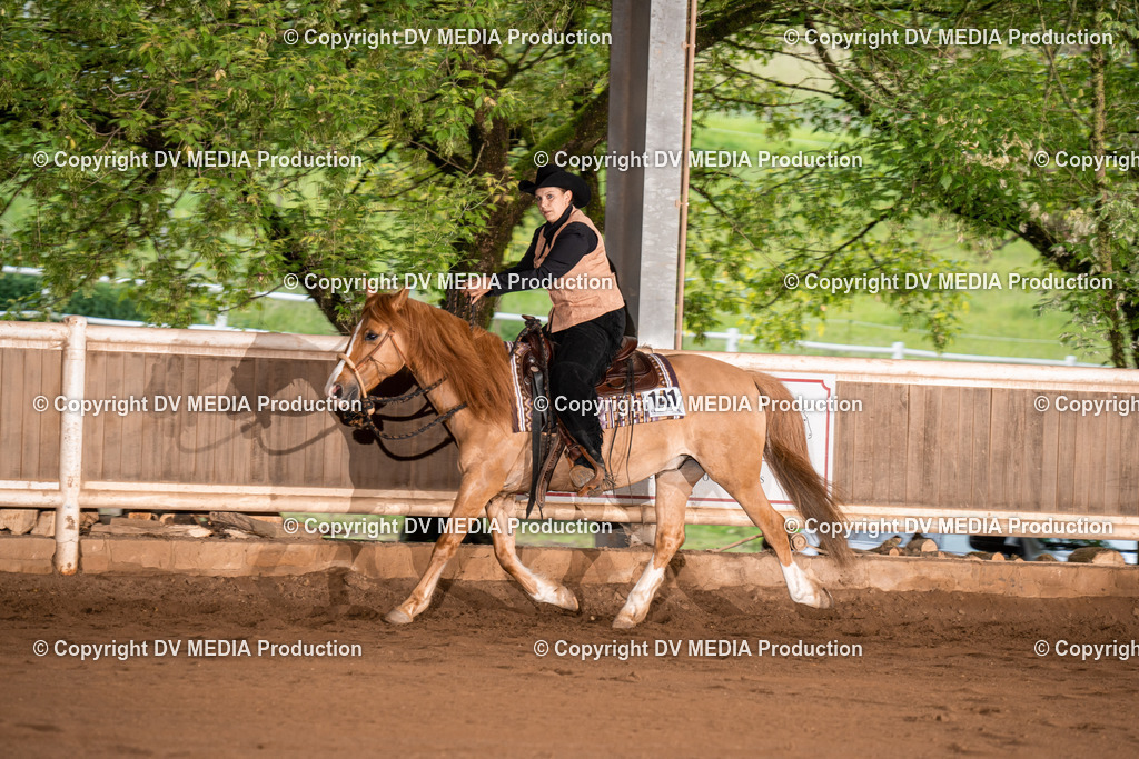 Erbach Tag 4-754 | dv-media-shop - Realisiert mit Pictrs.com