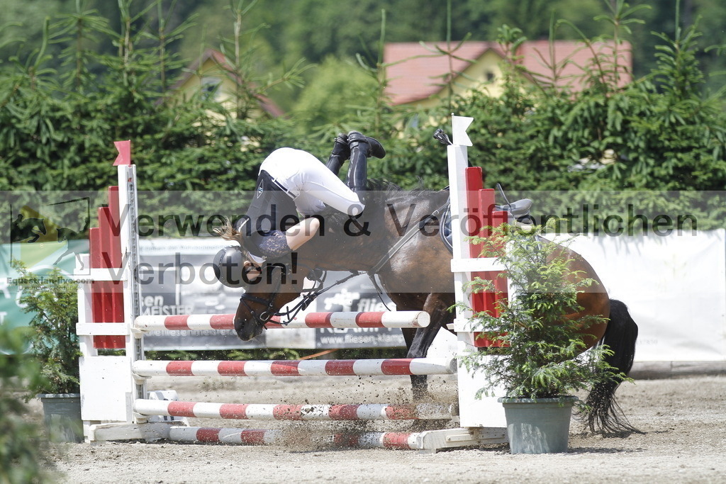 _MG_5423 | equestrian-live-com