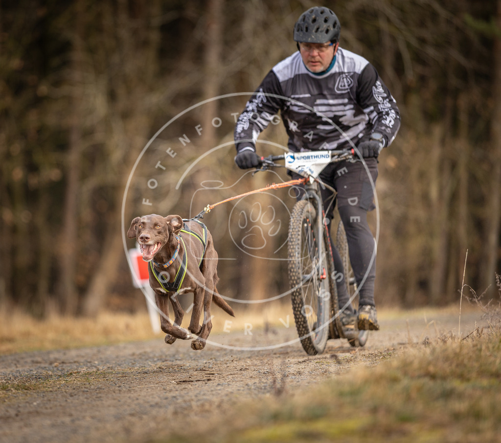 DV3A3453 | Hundefotografie, Tierfotograf, Pfotenfotografie, Fotoshooting Hund, Hunde Portrait, Hundesport, Hundeportraits, Heideshooting, Hunde, Sportfotograf, Hundefotograf, Turnierhundsport, THS,  - Realisiert mit Pictrs.com