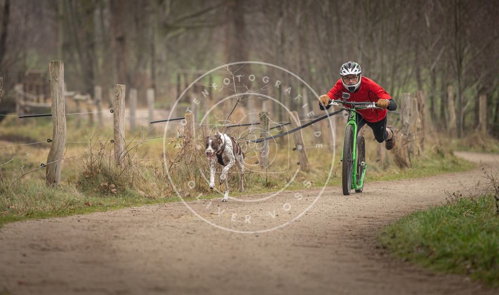 Pfotenfotografie_DV3A2505 | Hundefotografie, Tierfotograf, Pfotenfotografie, Fotoshooting Hund, Hunde Portrait, Hundesport, Hundeportraits, Heideshooting, Hunde, Sportfotograf, Hundefotograf, Turnierhundsport, THS,  - Realisiert mit Pictrs.com