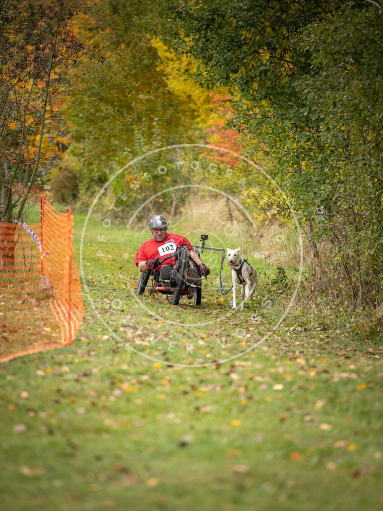 Pfotenfotografie_DV3A3492 | Hundefotografie, Tierfotograf, Pfotenfotografie, Fotoshooting Hund, Hunde Portrait, Hundesport, Hundeportraits, Heideshooting, Hunde, Sportfotograf, Hundefotograf, Turnierhundsport, THS,  - Realisiert mit Pictrs.com
