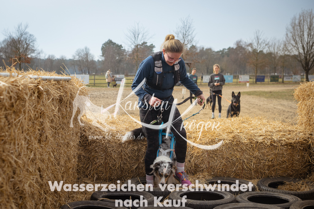 1117_ZZ92623 | kk-dogfotos