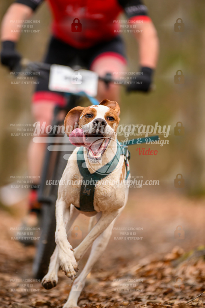 MompixPhotography_Habay2025_SA_Bike-46 | PayLife