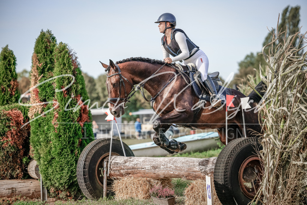 20250907-_3LI9293 | Tierfotografie Pferde, Hunde, Katzen, Haustiere.
Turnierfotografie Reitturniere, Reiten, Springreiten, Dressur in Hanau, dem Main-Kinzig-Kreis und dem Rhein-Main- Gebiet um Frankfurt