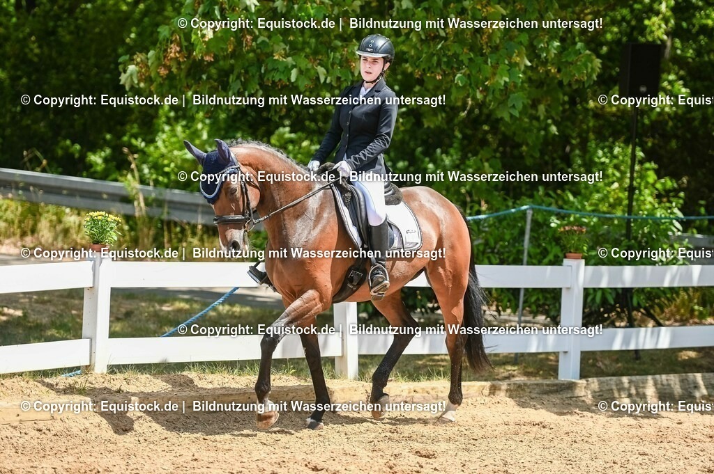 20230715_09_Dressur-WB_0461 | equistock