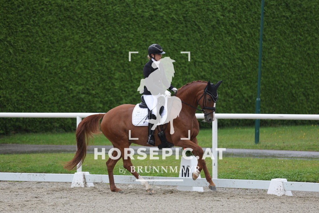 0P6A0162 | Willkommen bei Brunnmayr - Design & Fotografie – Ihrem Spezialisten für Reitturniere und Pferdeveranstaltungen in Oberösterreich, Salzburg und Bayern! Seit über 17 Jahren sind wir leidenschaftlich dabei.