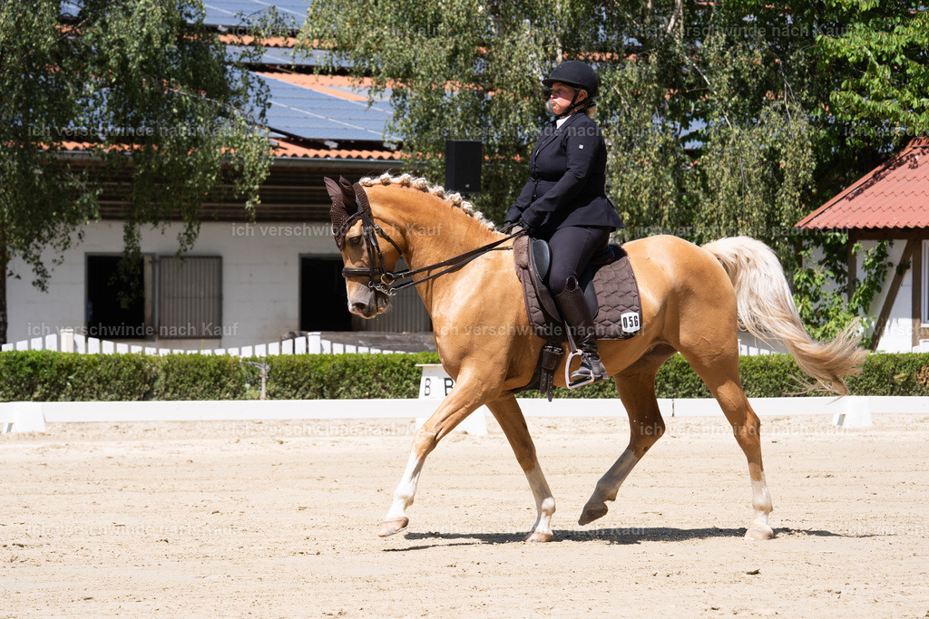 WS_DR_53_sinafilmart_IN08566 | working equitationturnier fotograf videograf stoibphotography marixx film working equitation deutschland reitsport turnierfotografie eventfotografie equestrian events