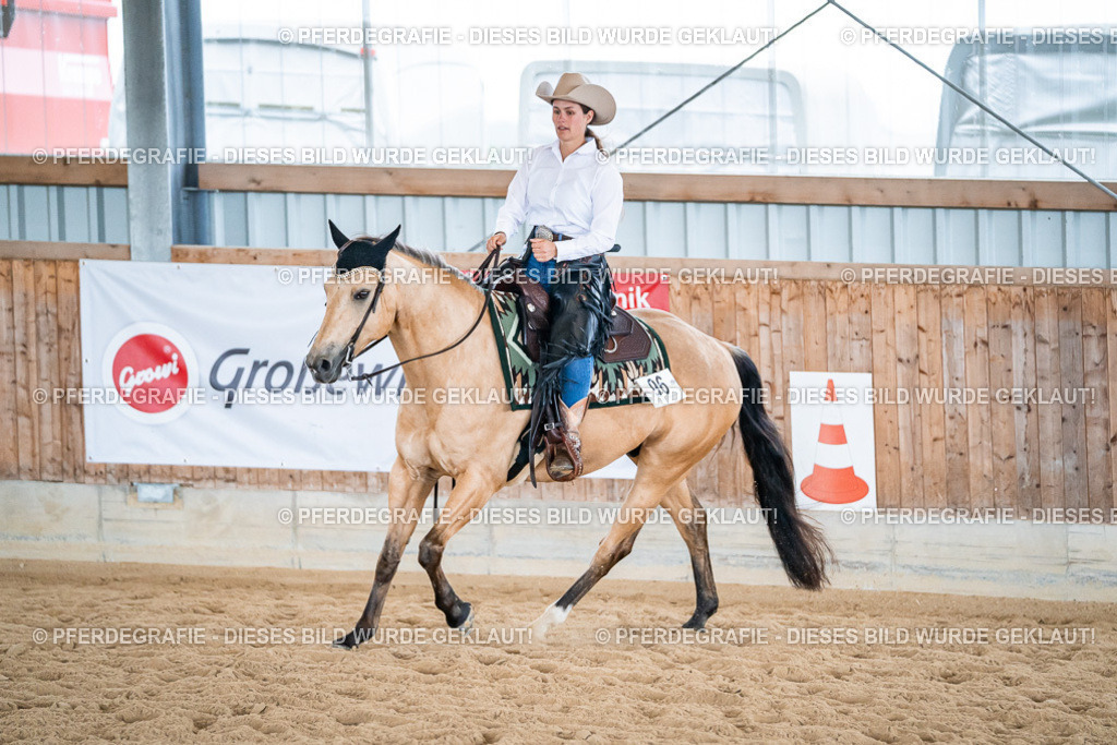 DSC03570 | Pferdegrafie