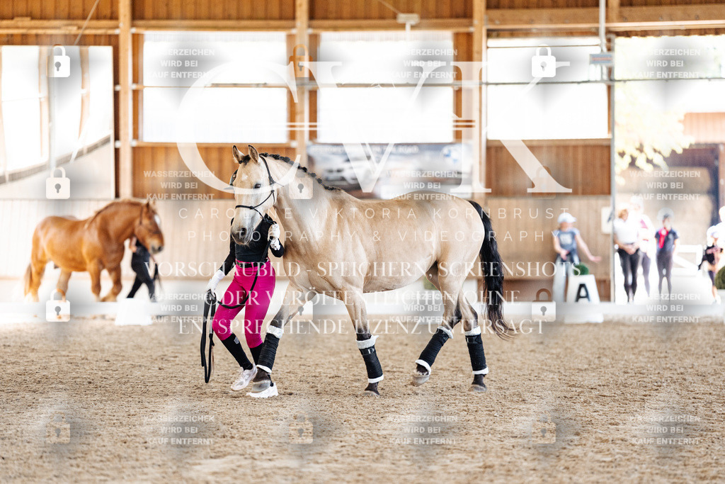 CK907160 | Turnierfotografie Pferdefotografie Trier Rheinland-Pfalz Pferdesport Reitsport Tierfotografie Sportfotografie Pferdevideo Pferdevideografie Equestrianvideography equestrianphotography  - Realisiert mit Pictrs.com