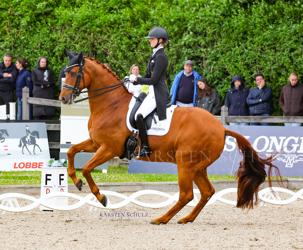 1B3A8513 | Reitsport Reiten